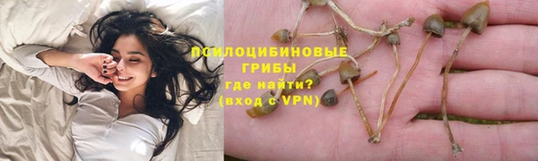 крисы Няндома