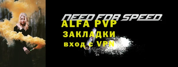 крисы Няндома