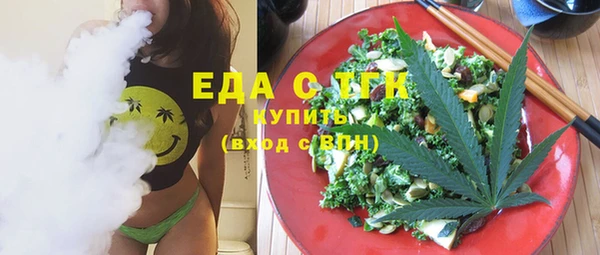 индика Елизово